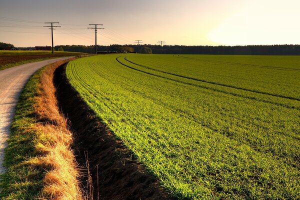 Sunset on the road between the field and the sky