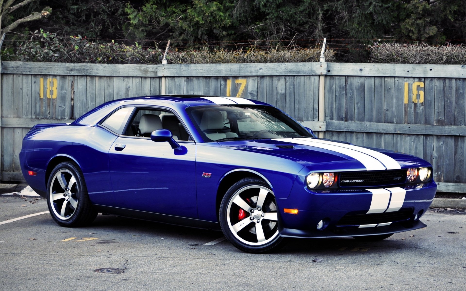 ausweichen challenger srt8 erste ausgabe dodge challenger blau muscle car muscle car front