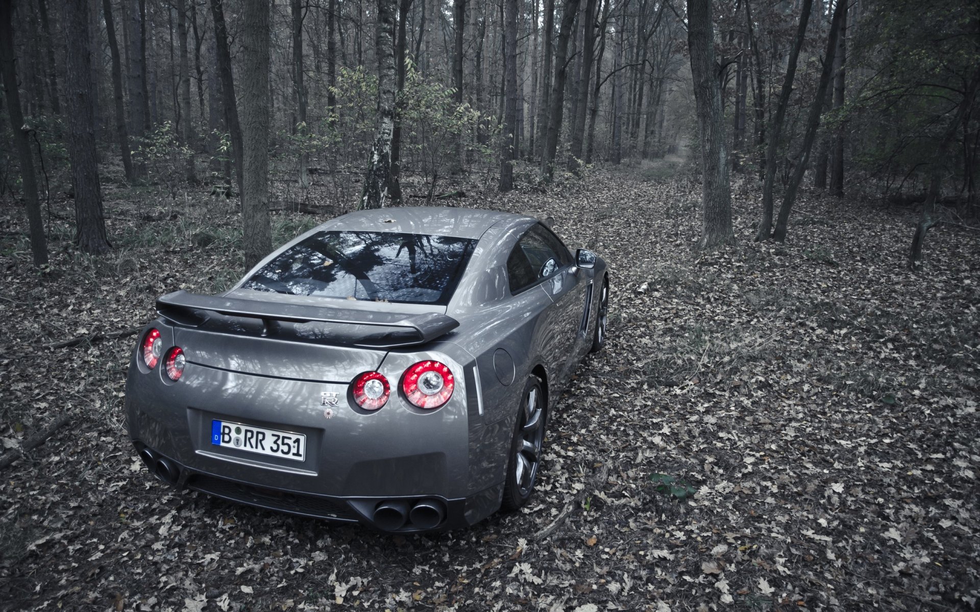 nissan gt-r grau laub herbst bäume