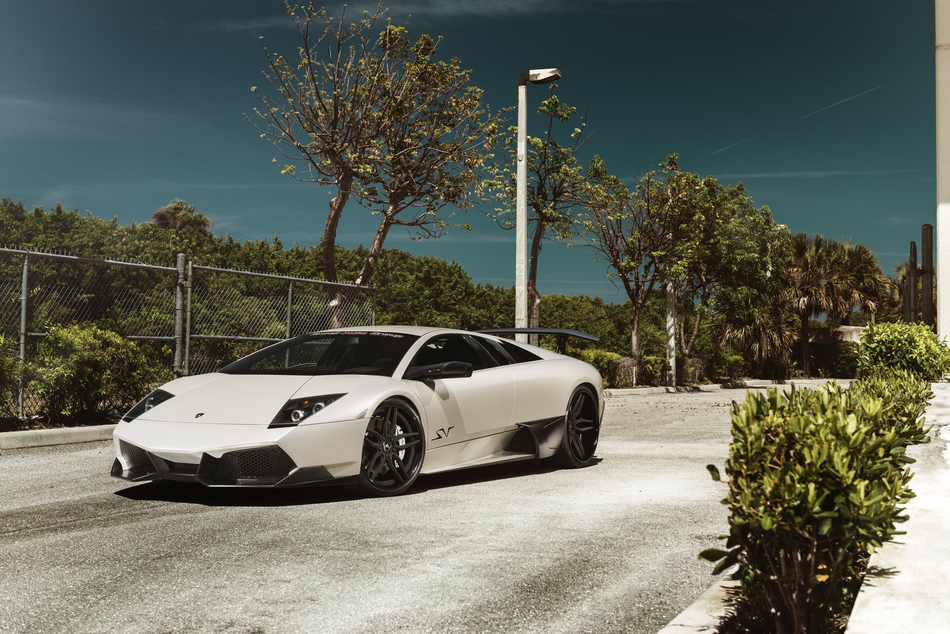 lamborghini murcielago blanco lamborghini murselago blanco árboles linterna