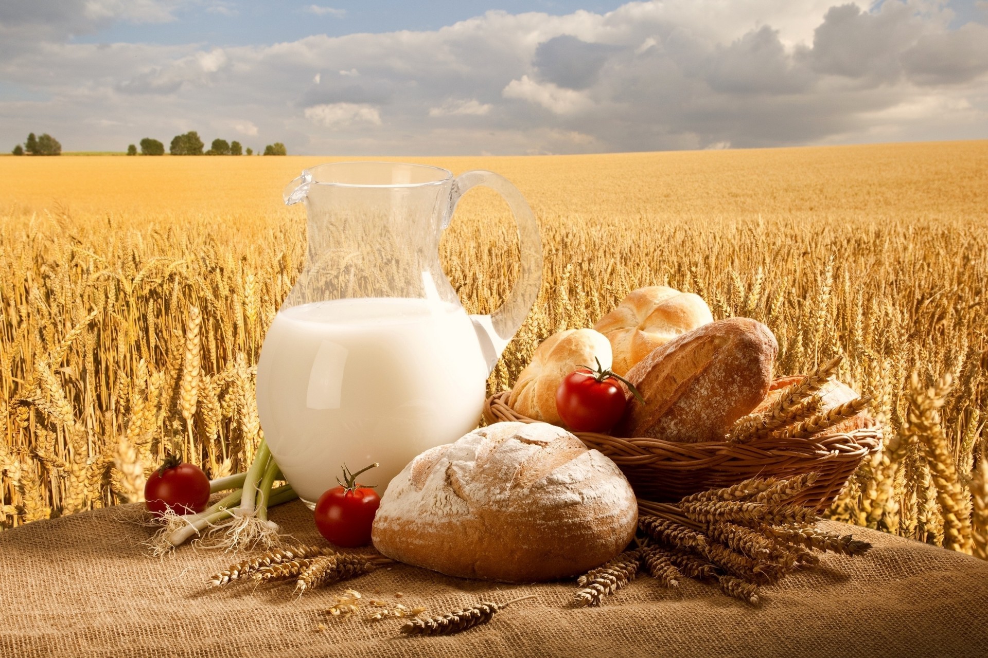 coffee sky wheat torment bread milk shopping pitcher the field