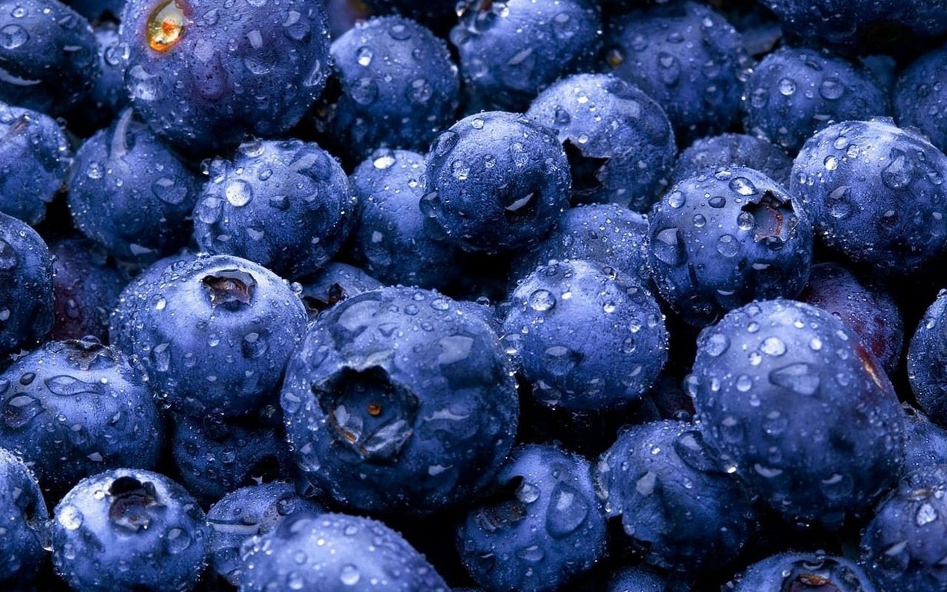 tau obst beeren essen blaubeeren