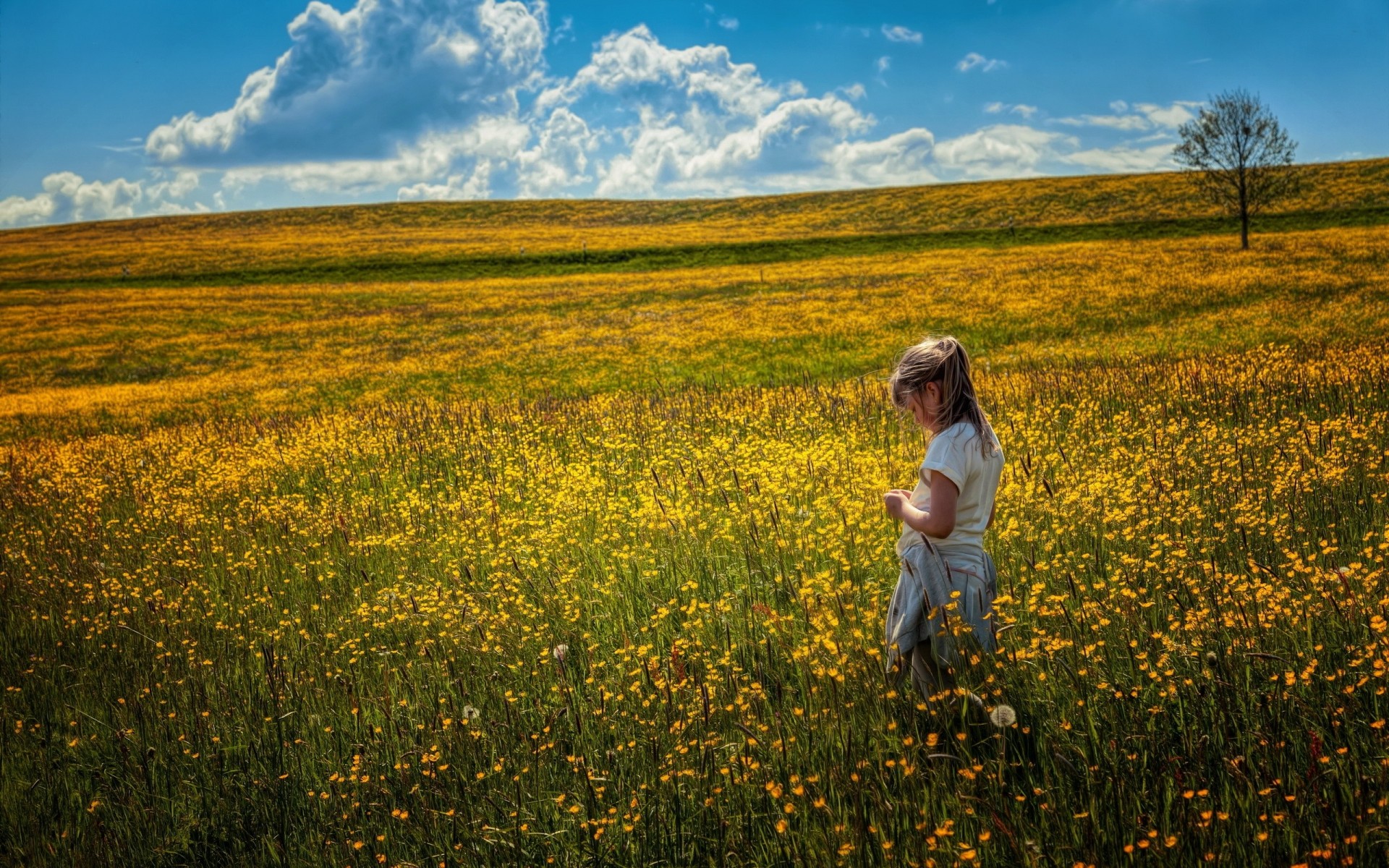 campo umore ragazza fiori