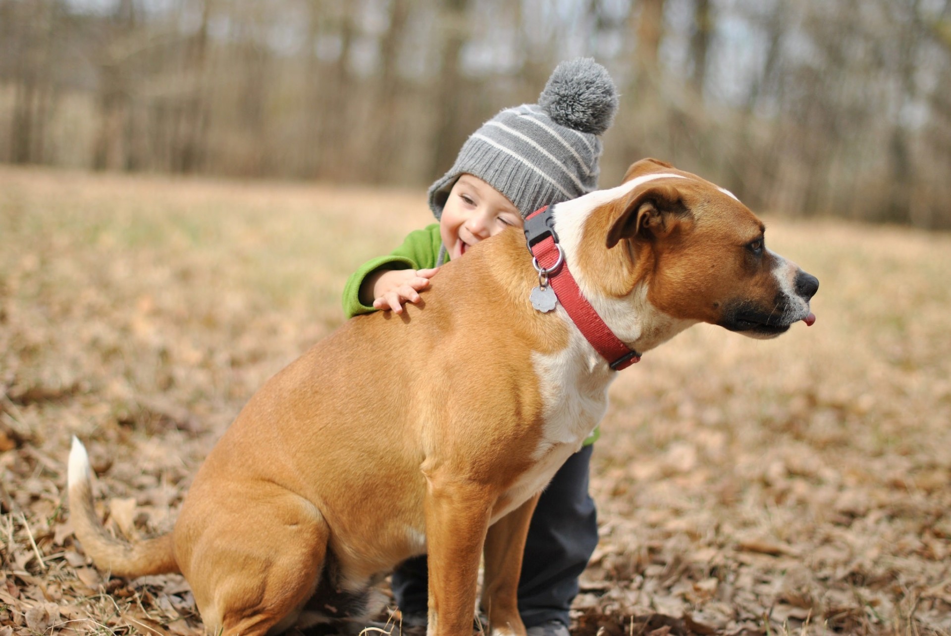 junge freude hund freund umarmungen stimmung kind