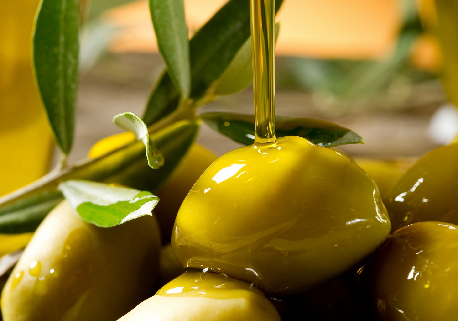 bokeh olive olio ramo