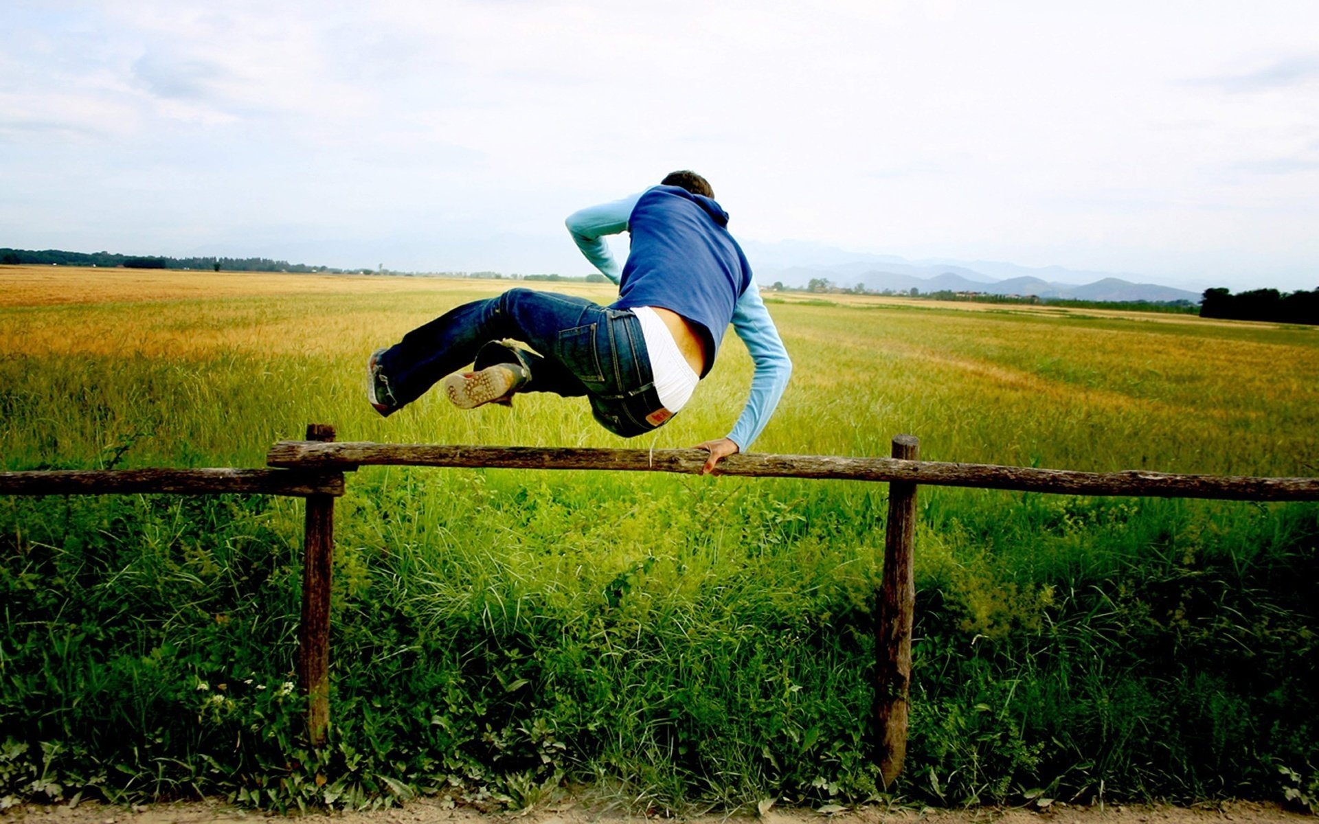 the fence field people gra