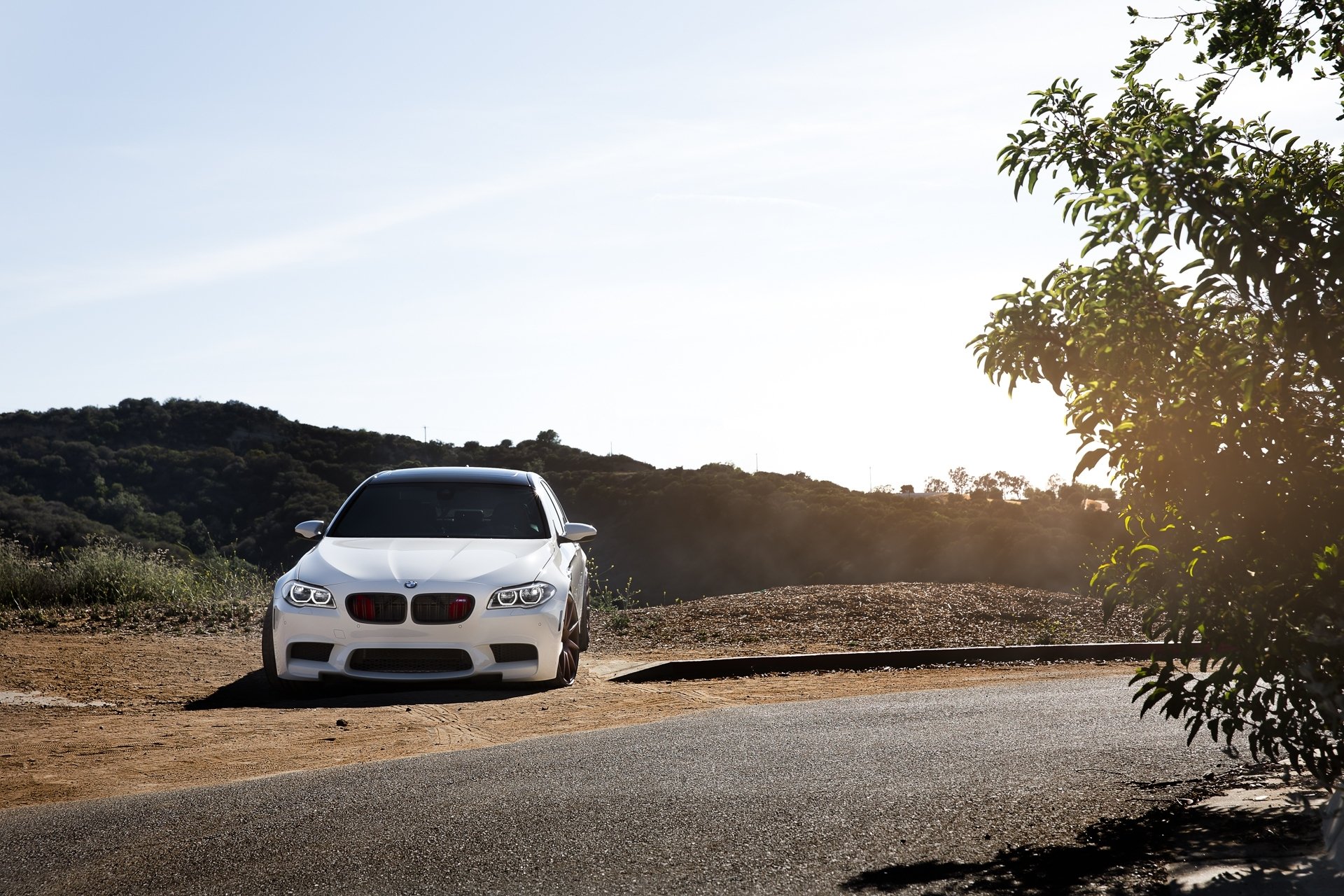 bmw m5 f10 biały bmw przyciemniane zakręt drogowy