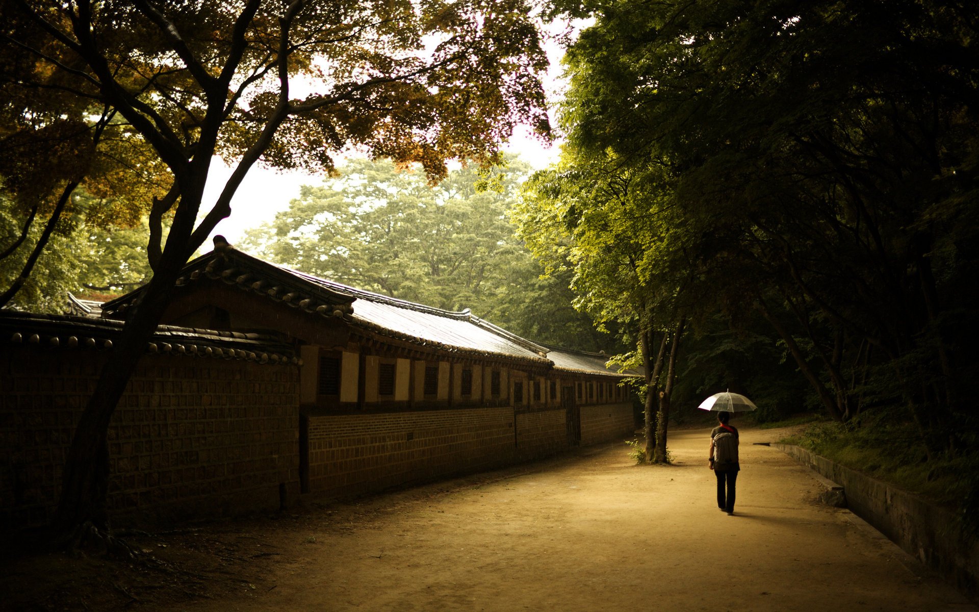 girl changdeok palace wall umbrella