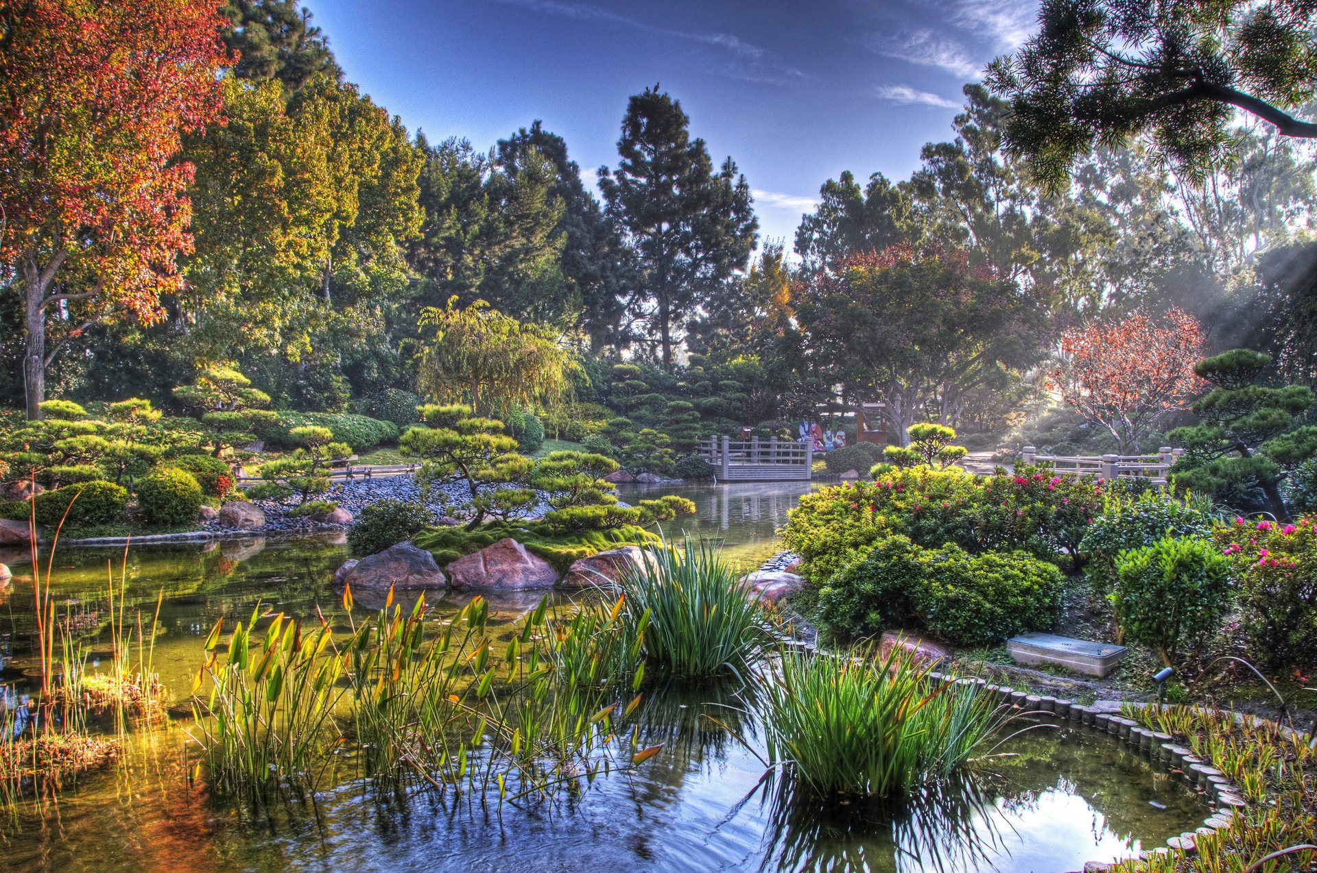 jardin japonais étang japon