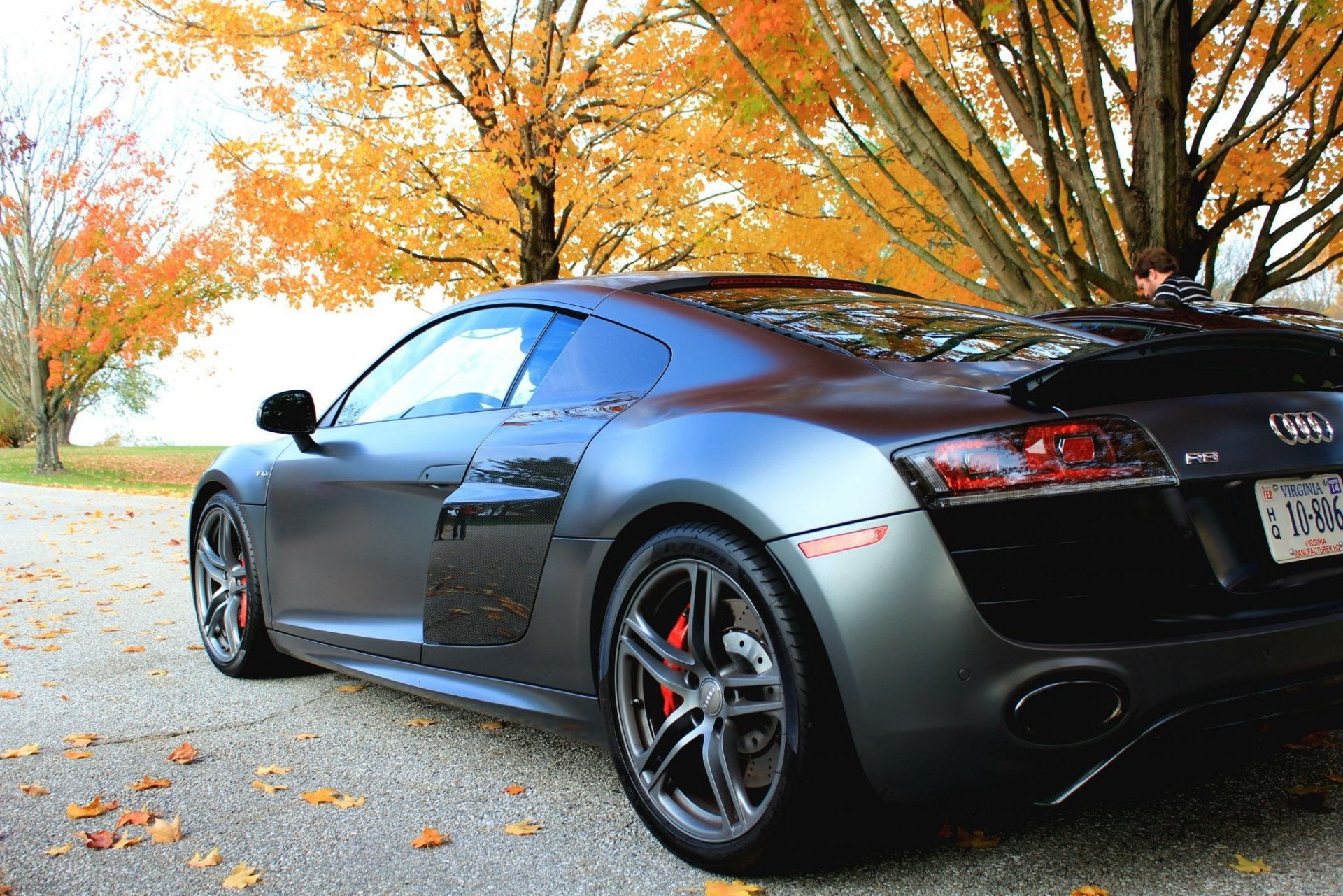 audi r8 v10 noir vue arrière voiture