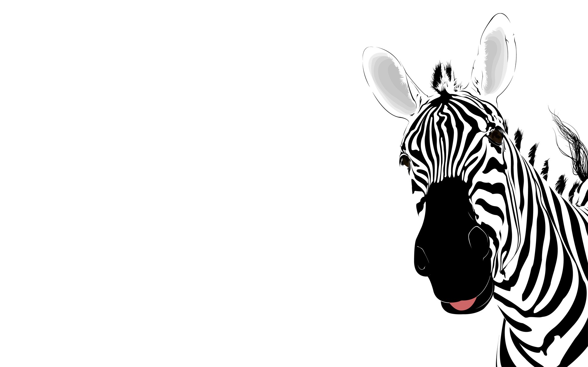 zebra strisce astrazione