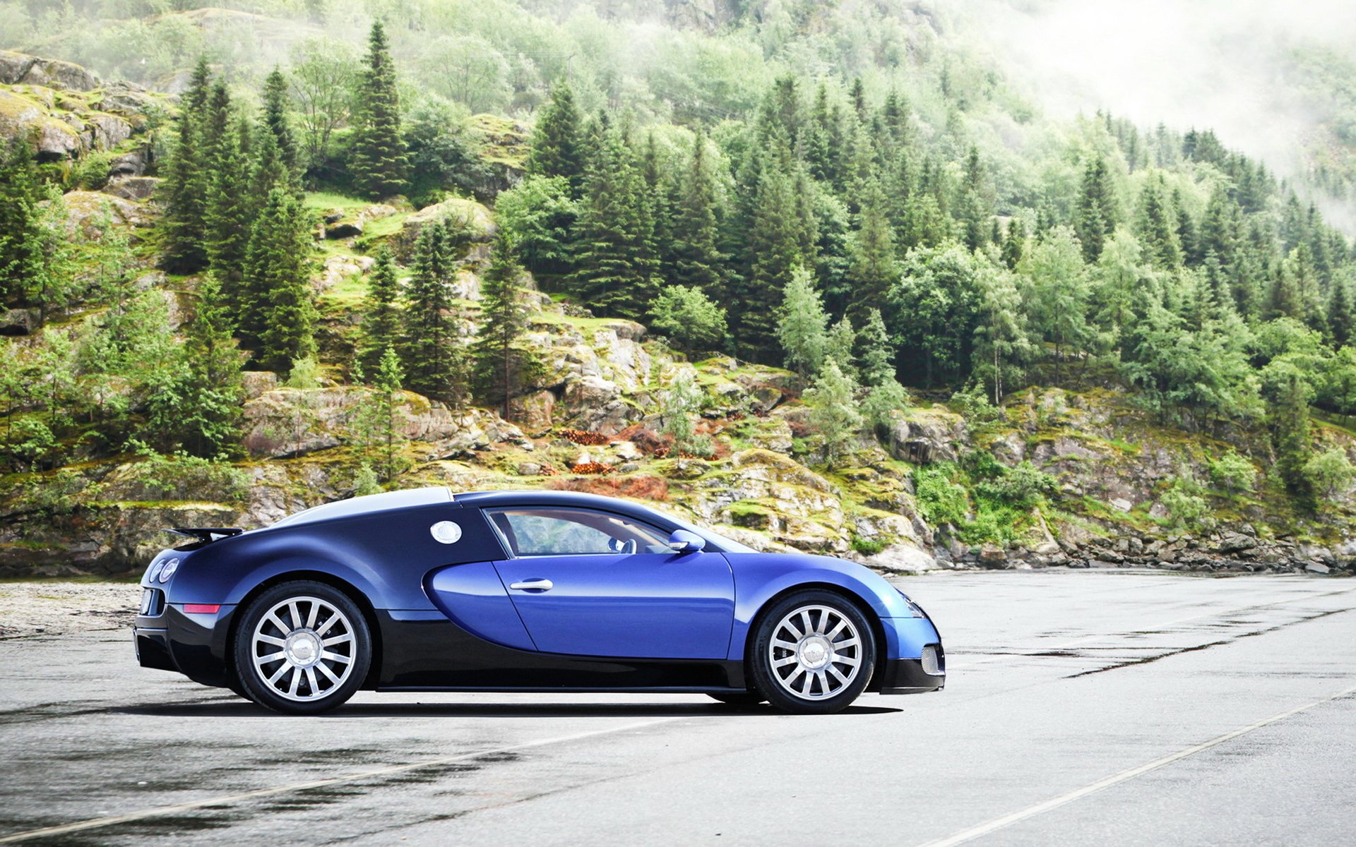 bugatti veyron bugatti veyron supercar auto