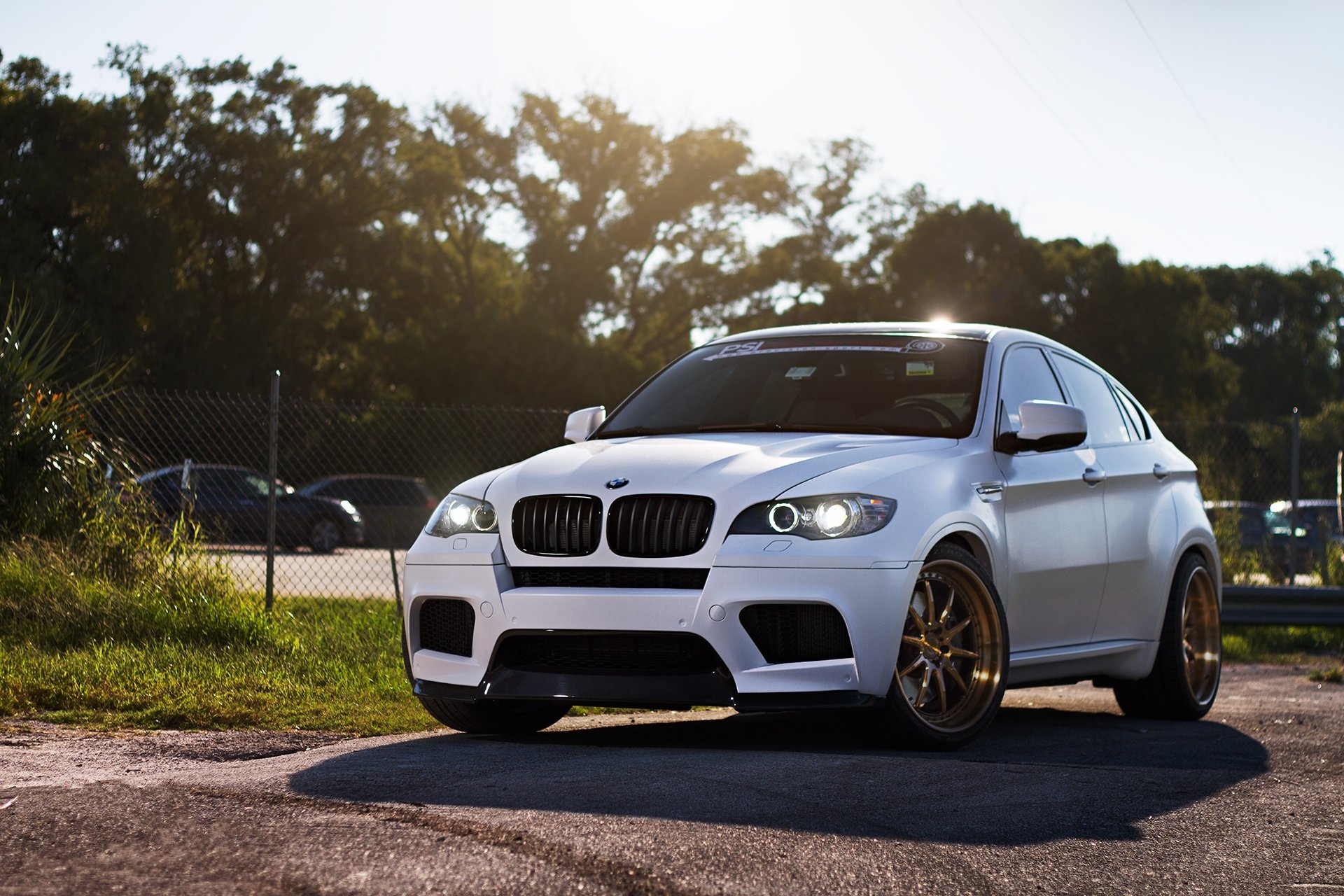 bmw x6m e71 bianco bmw crossover ombra alberi