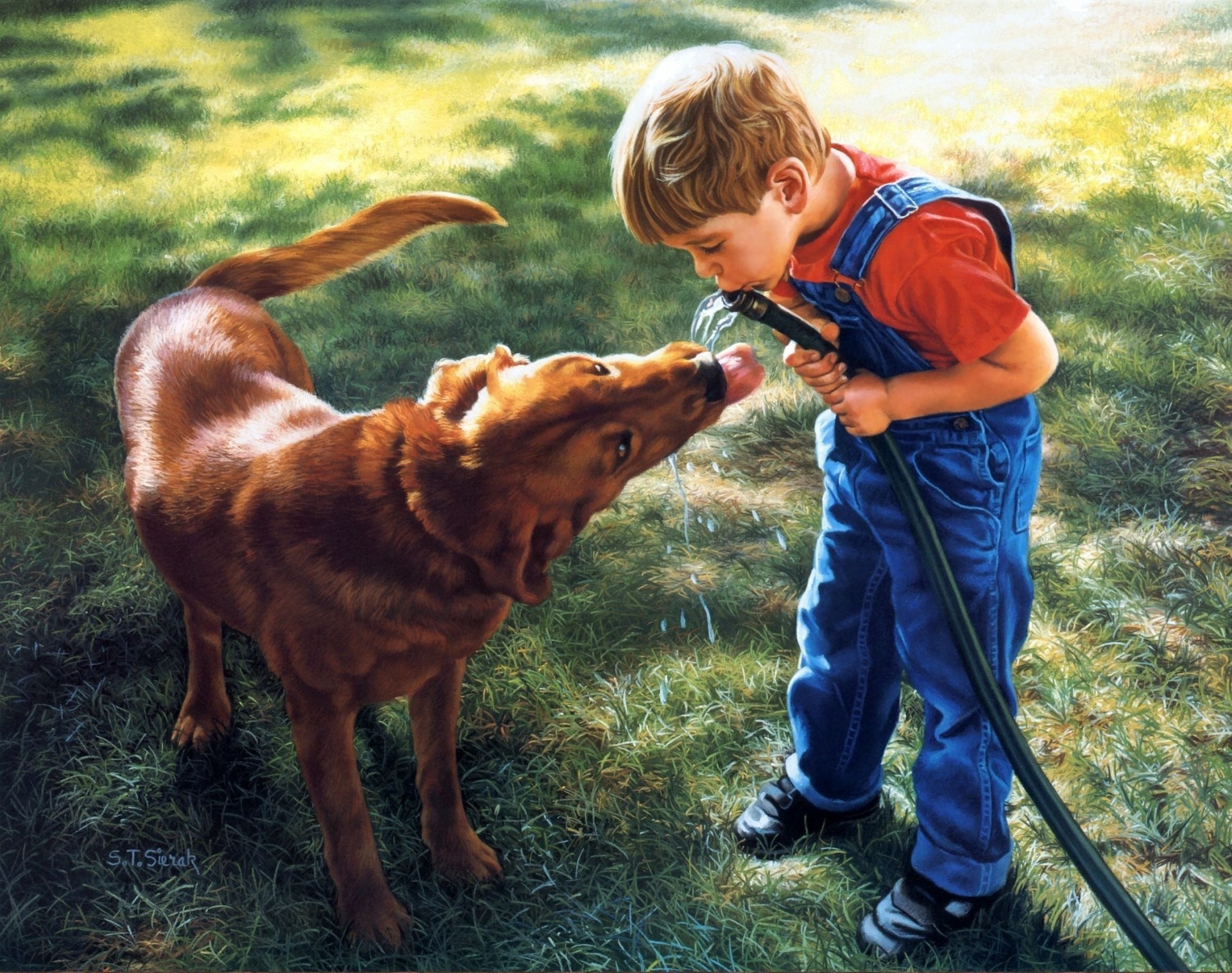 manguera perro niño arte