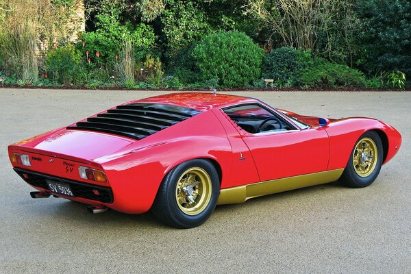 Red lamborghini on a background of trees