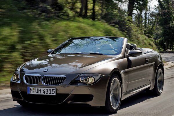 Coche BMW convertible en medio de la naturaleza