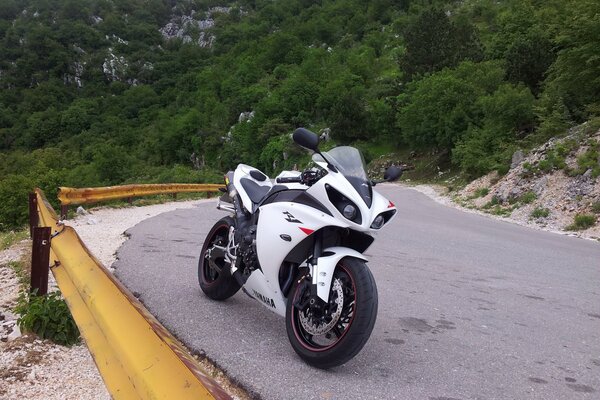 Yamaha motorcycle in white and black on the background of nature