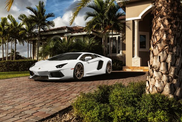 Coche Lamborghini blanco contra fondo de palmeras