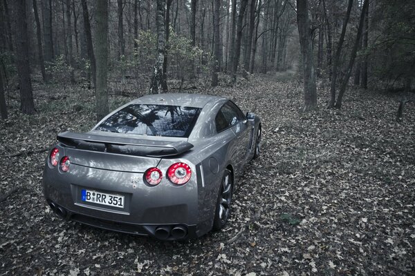 Ein grauer Nissan gt-r steht im Wald