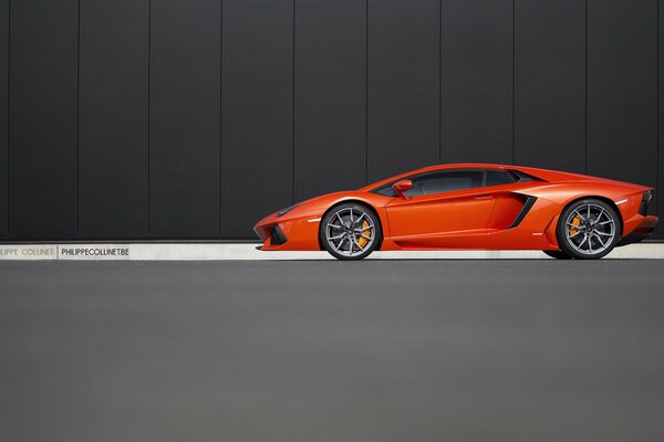 Orange Lamborghini aventador Premium auto