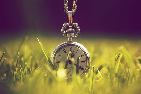 Clock on a grass background in macro photography