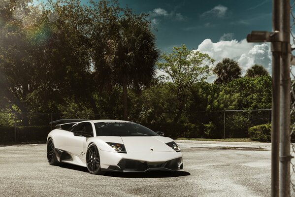 Lamborghini murcielago blanc. Lamborghini sur fond d arbres