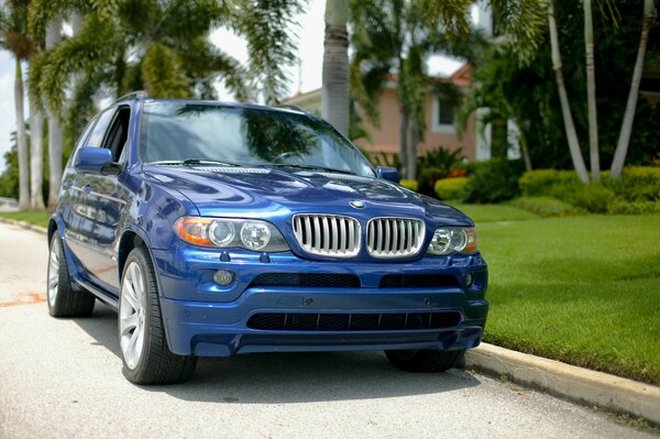 BMW bleu sportif sur la route