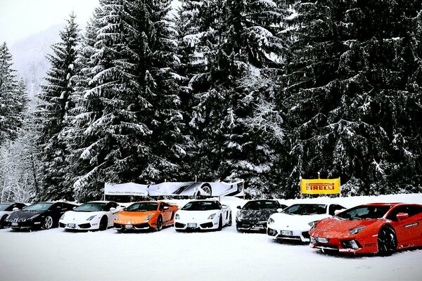 Samochody Lamborghini zimą na śniegu