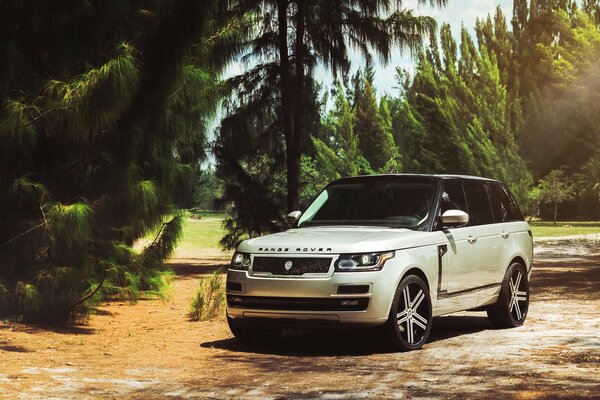 Внедорожник range rover в тропическом лесу