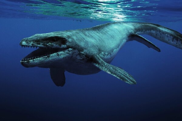 En el mundo animal. Habitante de las profundidades marinas