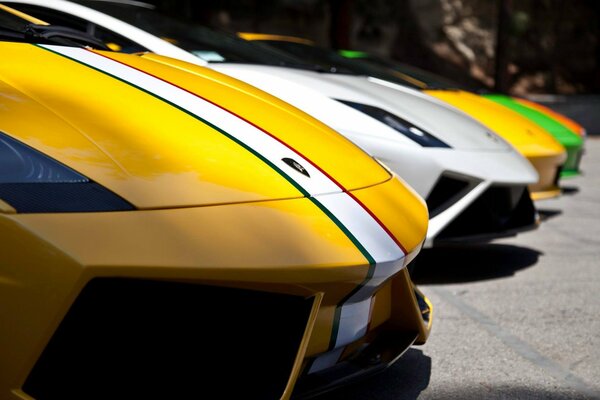 Lamborghini sports cars in a row