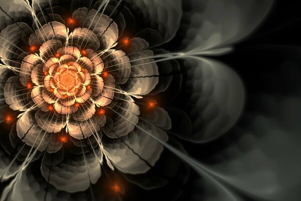 The flower opens its petals. Hypnosis