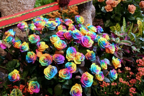 Radura floreale luminosa fatta di multicolori