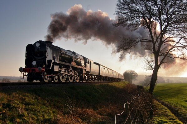 Foto di una locomotiva a vapore su una ferrovia in un campo