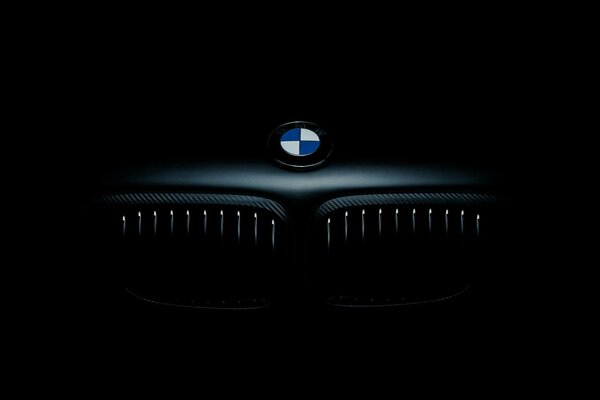 Odznaka BMW na czarnym tle. Kratka chłodnicy w ciemności