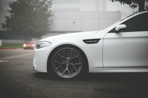 The side of a bmv car against the background of morning fog