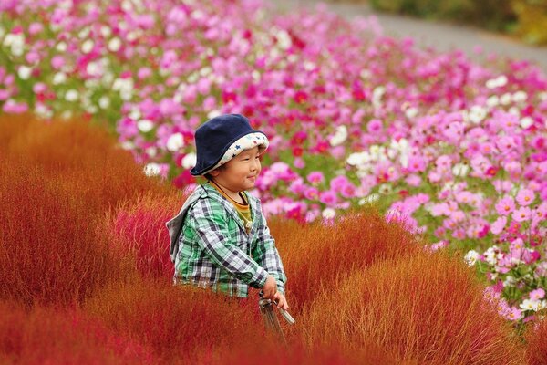 A boy in a beautiful pink field