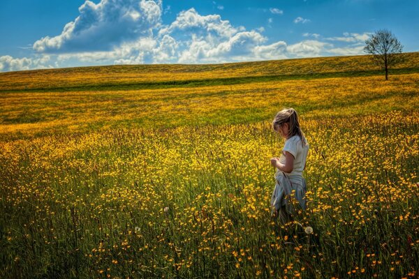 Ragazza nel campo estivo nel chiaro giorno