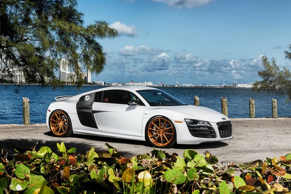 Audi r8. Audi bianca sul frna del mare