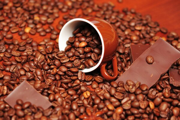 A cup with coffee beans and pieces of chocolate