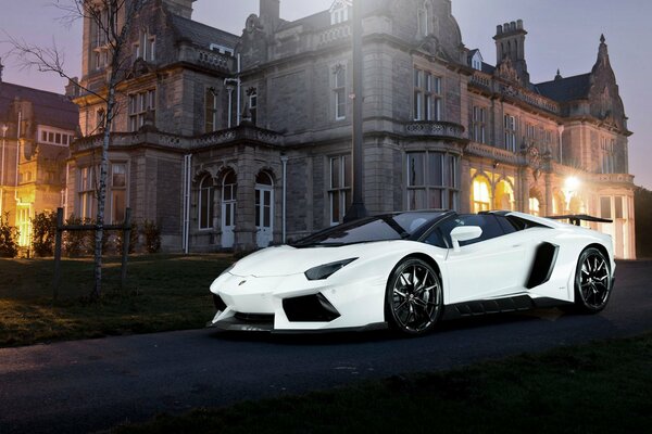 White lamborghini aventador novitec torado