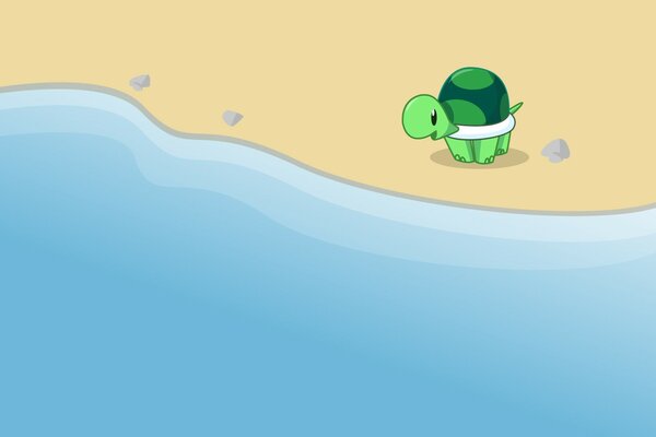 Żółw na piaszczystym brzegu nad wodą