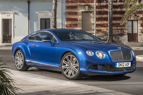 Blue Bentley continental on the street with palm trees