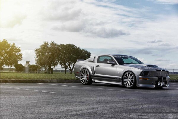 Silver muscle kit on the car