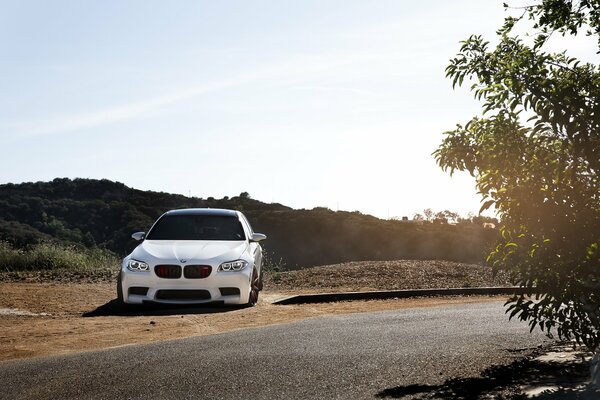 White, tinted BMW on the side of the road