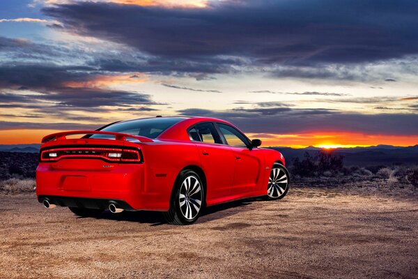 Beautiful photo of a car. Red car. Car photo on a beautiful background