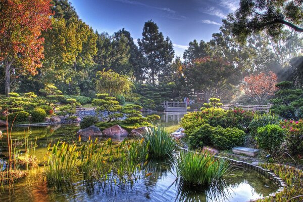 En esta imagen, toda la belleza natural de Japón