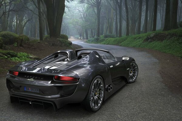 Porsche car on a forest road