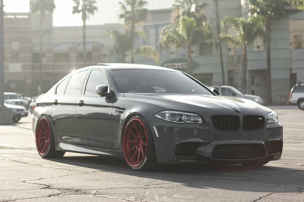 Urban landscape with palm trees and a black BMW