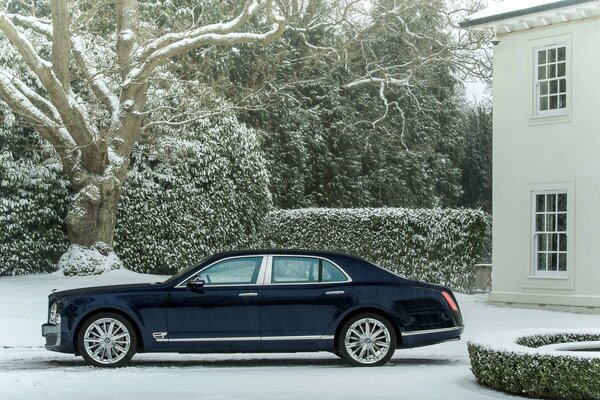 Dark blue bentley on a background of snowy trees